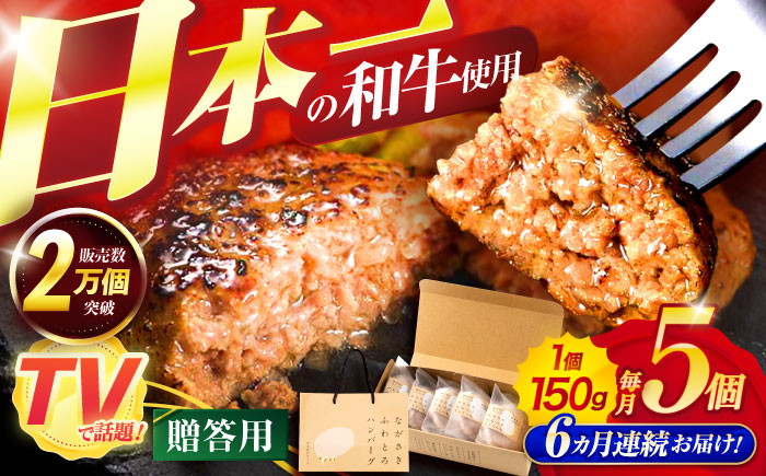 【6回定期便】ながさきふわとろハンバーグ　150g×5個入【贈答用】 / ハンバーグ はんばーぐ　肉 牛肉 豚肉 おかず 惣菜 定期便 / 諫早市 / ワールド・ミート有限会社 [AHBG003]