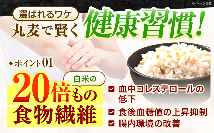 【全6回定期便】 長崎県産 丸麦 10kg / 麦 むぎ 雑穀 雑穀米 麦ごはん 麦飯 麦みそ 食物繊維 長崎県産 米 こめ コメ ※ / 諫早市 / 有限会社伊東精麦 [AHBU007]