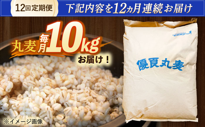 【全12回定期便】 長崎県産 丸麦 10kg / 麦 むぎ 雑穀 雑穀米 麦ごはん 麦飯 麦みそ 食物繊維 / 諫早市 / 有限会社伊東精麦 [AHBU008]