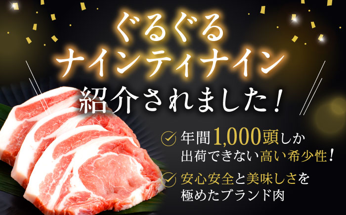 【12回定期便】諫美豚おすすめバラエティセット3kg回 / 諫美豚 豚肉 肩ロース ステーキ モモ 切り落とし ハンバーグ ロースステーキ / 諫早市 / 株式会社土井農場 [AHAD011]