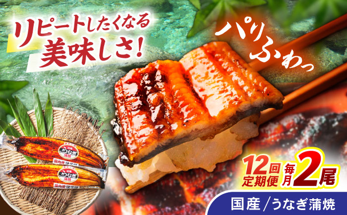 【12回定期便】【諫早淡水】うなぎ蒲焼2尾 / うなぎ ウナギ 鰻 国産うなぎ 国産鰻 蒲焼き 蒲焼 かばやき うな重 うな丼 / 諫早市 / 諫早淡水株式会社 [AHAT026]