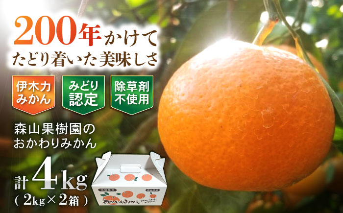 伊木力産 森山果樹園のおかわりみかん 4kg(2kg×2) / みかん ミカン 柑橘 伊木力みかん 温州みかん 2kg 4kg / 諫早市 / 森山果樹園　 [AHCO006]