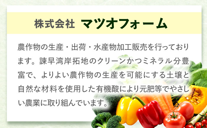 【6回定期便】野菜等詰め合わせプレミアムセット(7〜10品目) / 野菜 果物 フルーツ くだもの きのこ しそ / 諫早市 / 松尾農園 [AHAY021]