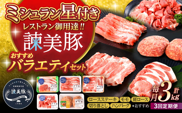 【3回定期便】諫美豚おすすめバラエティセット3kg / 諫美豚 豚肉 肩ロース ステーキ モモ 切り落とし ハンバーグ ロースステーキ / 諫早市 / 株式会社土井農場 [AHAD002]