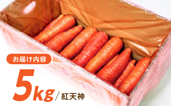 【甘みと栄養たっぷり！】真っ赤な人参「紅天神」 5kg / にんじん ニンジン 人参 carrot やさい 野菜 にんじんジュース 人参ジュース ニンジンジュース キャロット キャロットジュース / 諫早市 / 滝商店株式会社 [AHCU008]