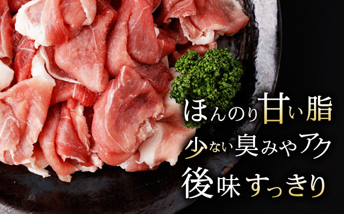 ＜特Aのブランド米で育てた＞諫美豚 切り落とし 2.1kg / 諫美豚 豚肉 切り落とし 肉 ウデ モモ / 諫早市 / 株式会社土井農場 [AHAD063]