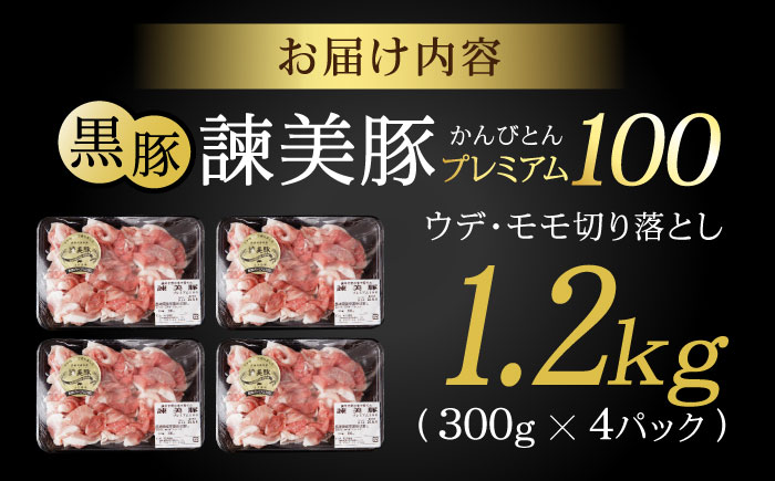 黒豚諫美豚プレミアム100 切り落とし 計1.2kg（300g×4P）/ 豚 豚肉 黒豚 切り落とし 小分け / 諫早市 / 株式会社土井農場 [AHAD046]