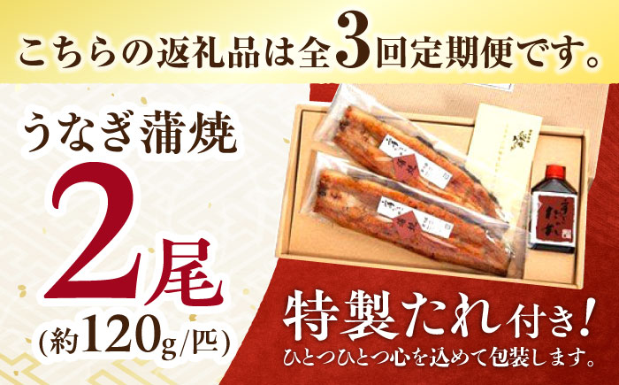 【3回定期便】北御門うなぎ蒲焼2尾入 / 特上 うなぎ 鰻 蒲焼 ウナギ / 諫早市 / 諫早観光物産　コンベンション協会 [AHAB005]