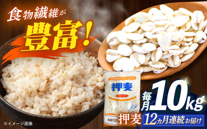 【全12回定期便】 押麦「長崎100年麦 御島裸」1kg×10袋 計10kg / 麦 むぎ 押麦 はだか麦 麦味噌 雑穀 雑穀米 食物繊維 小分け / 諫早市 / 有限会社伊東精麦 [AHBU012]