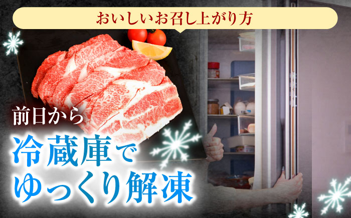 【6回定期便】長崎和牛 切り落とし 1.2kg（400g×3）肩ロース・モモ・カタ・バラ使用 / 牛肉 ぎゅうにく 肉 和牛 国産牛 切落し?/ 諫早市 / 西日本フード株式会社長崎和牛 [AHAV026]