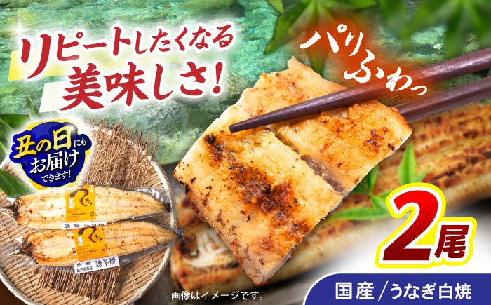 ＜諫早淡水＞うなぎ白焼き 2尾 / うなぎ ウナギ 鰻 白焼き 白焼 国産 冷凍 小分け / 諫早市 / 諫早淡水株式会社 [AHAT011] 丑の日 土用丑の日