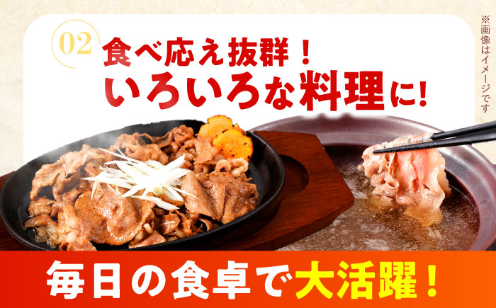 【すき焼きやしゃぶしゃぶに】長崎和牛 切り落とし 計900g（300g×3P) / しゃぶしゃぶ　和牛　国産　切落し / 諫早市 / 日本ハムマーケティング株式会社 [AHAL013]