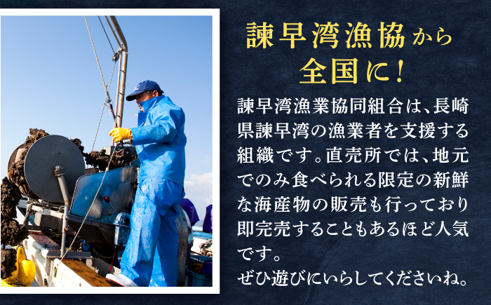 【長崎県小長井町産】「小長井牡蠣」食べ比べセット4袋+1袋(えび) / かき カキ 牡蠣 海鮮 / 諫早湾漁業協同組合 [AHBJ004]