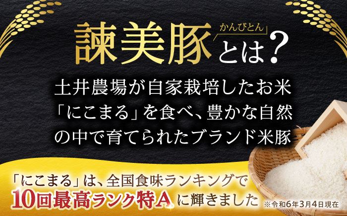諫美豚 ロースステーキ 600g(100g×6枚) / 豚肉 ぶたにく ステーキ すてーき ロース ろーす テキカツ 焼肉 生姜焼き / 諫早市 / 株式会社土井農場 [AHAD087]