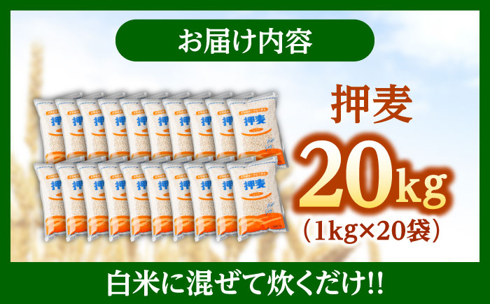 押麦「長崎御島」 1kg×20袋 計20kg / 押麦 押し麦 はだか麦 麦ごはん 雑穀 雑穀米 長崎県産 米 こめ コメ ※ / 諫早市 / 有限会社伊東精麦 [AHBU003]