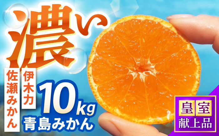 青島みかん　10kg / 諫早市 /伊佐農園 [AHFI014]