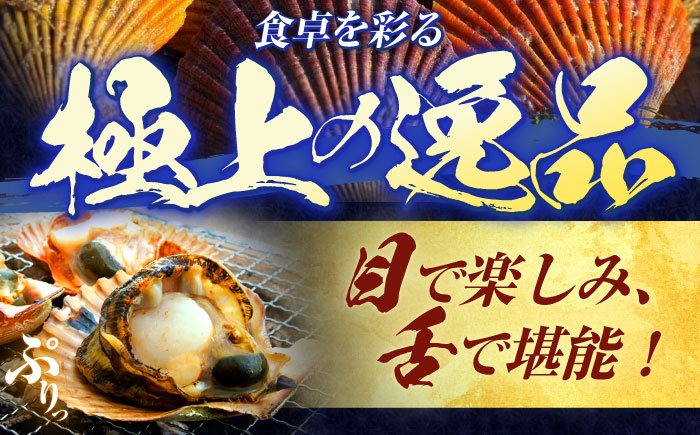 【ホタテ以上の旨味！】ヒオウギ貝 10枚(殻長7.5cm以上) / 貝 かい 魚介 ぎょかい 海鮮　かいせん 海産物 / 諫早市 / 橘湾中央漁業協同組合 [AHDP001]