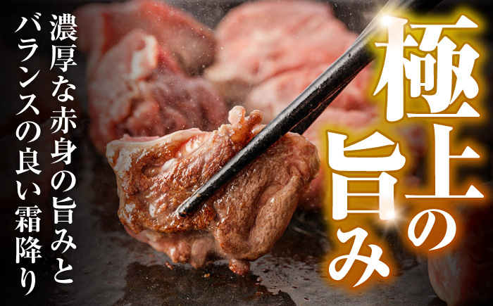 長崎和牛 A5 ヒレサイコロステーキ 400g / ヒレ ひれ ヒレステーキ ステーキ すてーき サイコロステーキ / 諫早市 / 野中精肉店 [AHCW105]