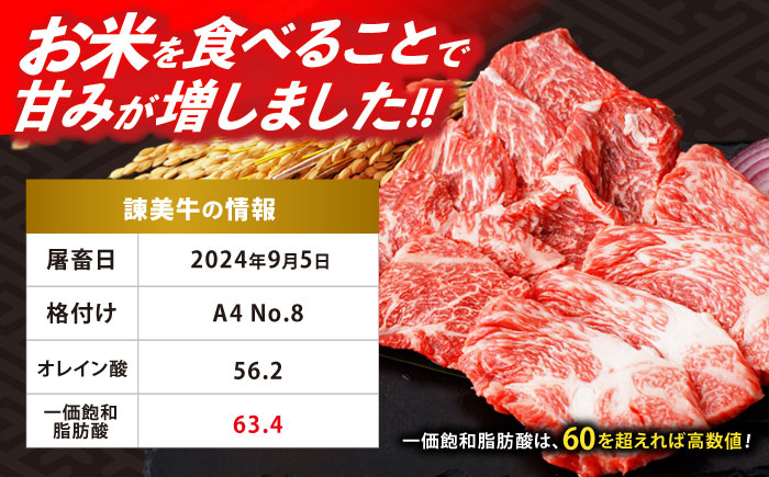 【特Aのブランド米で育てた】諫美牛 カルビ 500g(250g×2) / 牛肉 ぎゅうにく 和牛 牛 肉 国産 かるび 焼肉 やきにく / 諫早市 / 株式会社土井農場 [AHAD091]