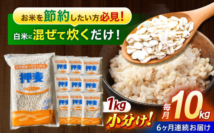 【6回定期便】押麦「長崎御島」1kg×10袋 計10kg / 麦 むぎ 押麦 はだか麦 麦味噌 雑穀 雑穀米 食物繊維 小分け 長崎県産 米 こめ コメ ※ / 諫早市 / 有限会社伊東精麦 [AHBU011]