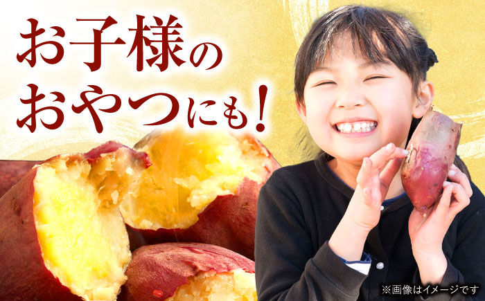 【2月中旬以降順次発送】冷凍焼き芋　２kg　/　焼き芋　いも　イモ　芋　冷凍　/　諫早市　/　一般財団法人　諫早市小長井振興公社 [AHDK002]