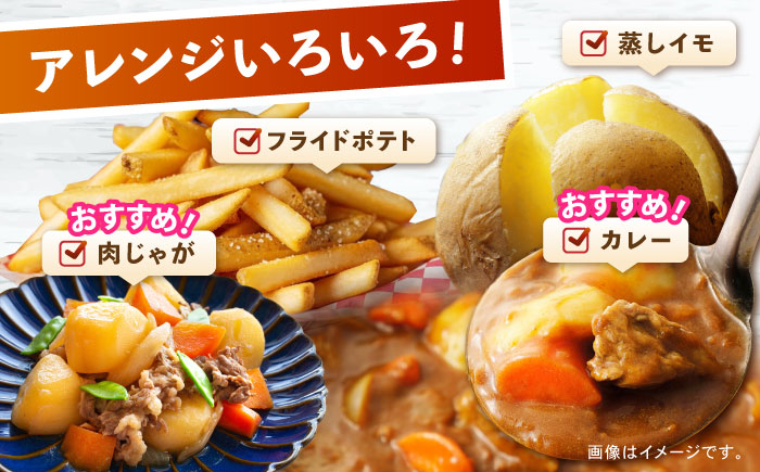 じゃがいも メークイン 5kg (S～2Lサイズ/約30～40個) / じゃがいも ジャガイモ ポテト 九州 メークイン メイクイーン 野菜 やさい / 諫早市 / スマイルファーム　 [AHFG003]