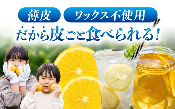 ※【2026年12月上旬より順次発送／先行予約】【ワックス不使用】国産 マイヤーレモン 5kg / レモン れもん 檸檬 フルーツ 果物 / 諫早市 / 山野果樹園 [AHCF004]