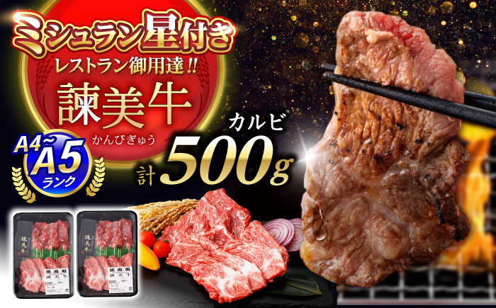 【諫早市市制施行20周年特別企画】【特Aのブランド米で育てた】諫美牛 カルビ 500g(250g×2) / 牛肉 ぎゅうにく 和牛 牛 肉 国産 かるび 焼肉 やきにく / 諫早市 / 株式会社土井農場 [AHAD091]