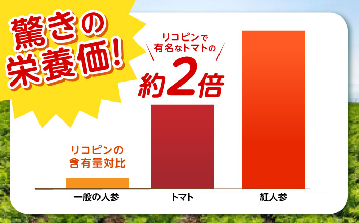 【甘さと栄養を100%凝縮！】真っ赤な人参 「紅天神」 キャロットジュース 720ml×2本 / にんじん ニンジン 人参 キャロット きゃろっと ジュース　じゅーす きゃろっとじゅーす / 諫早市 / 滝商店株式会社 [AHCU003]