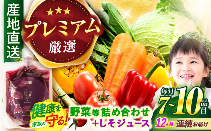 【12回定期便】野菜等詰め合わせプレミアムセット(7〜10品目) / 野菜 果物 フルーツ くだもの きのこ しそ / 諫早市 / 松尾農園 [AHAY027]