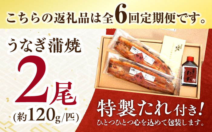 【6回定期便】北御門うなぎ蒲焼2尾入 / 特上 うなぎ 鰻 蒲焼 ウナギ / 諫早市 / 諫早観光物産　コンベンション協会 [AHAB008]