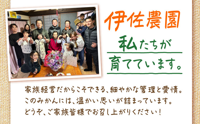 伊木力みかん 5kg / みかん ミカン 佐瀬みかん 伊木力みかん 濃い 温州みかん 薄皮 5kg / 諫早市 / 伊佐農園 [AHFI015]