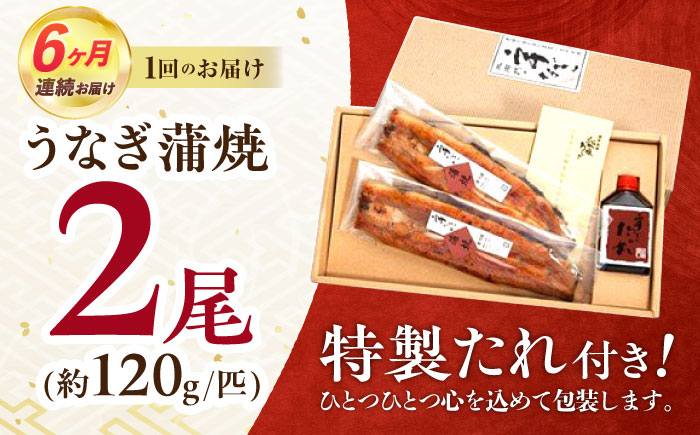 【6回定期便】北御門うなぎ蒲焼2尾入 / 特上 うなぎ 鰻 蒲焼 ウナギ / 諫早市 / 諫早観光物産　コンベンション協会 [AHAB008]