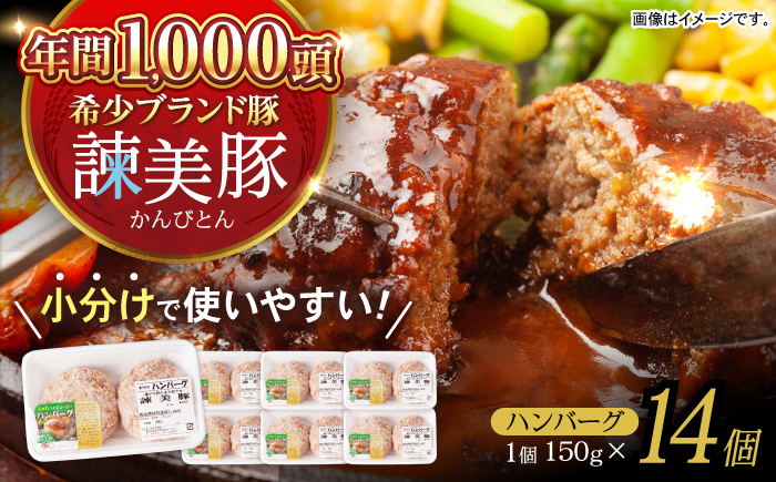 諫美豚ハンバーグ 14個(各150g) 計2.1kg / 豚肉 ハンバーグ はんばーぐ おかず 惣菜 冷凍 / 諫早市 / 土井農場 [AHAD052]
