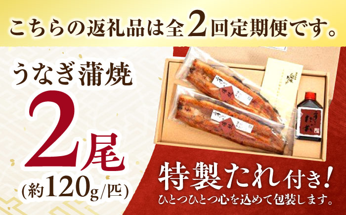 【2回定期便】北御門うなぎ蒲焼2尾入 / 特上 うなぎ 鰻 蒲焼 ウナギ / 諫早市 / 諫早観光物産　コンベンション協会 [AHAB004]