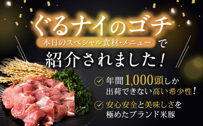 黒豚諫美豚プレミアム100 ヒレ肉 （カツのみ）300g / 豚肉 肉 ヒレ 黒豚 とんかつ トンカツ / 諫早市 / 株式会社土井農場 [AHAD076]