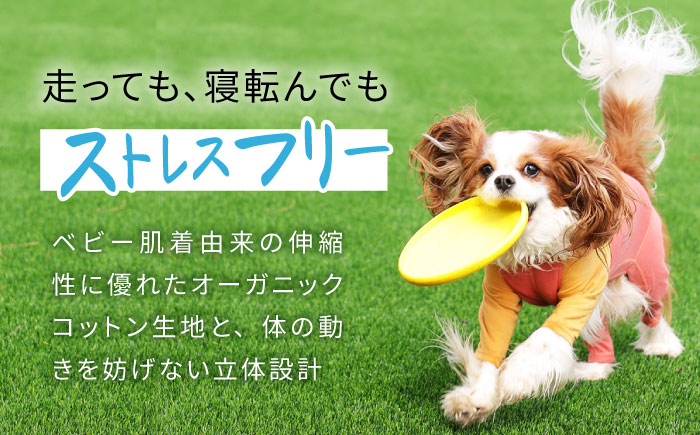 オーダメイド ドッグウェア / 犬 ペット服 ペットウェア / 諫早市 / 株式会社美泉 [AHAP045]