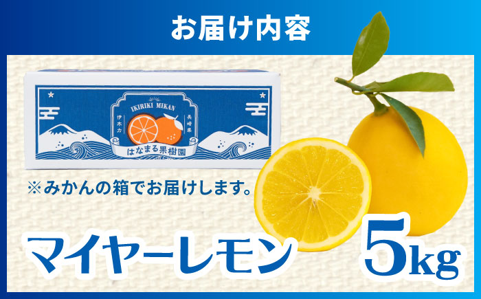 ※【2026年12月上旬より順次発送／先行予約】【ワックス不使用】国産 マイヤーレモン 5kg / レモン れもん 檸檬 フルーツ 果物 / 諫早市 / 山野果樹園 [AHCF004]