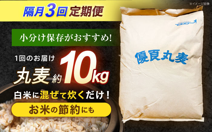 【隔月3回定期便】長崎県産 丸麦 10kg / 麦 むぎ 雑穀 雑穀米 麦ごはん 麦飯 麦みそ 食物繊維 長崎県産 米 こめ コメ ※ / 諫早市 / 有限会社伊東精麦 [AHBU006]