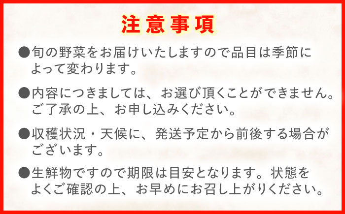 野菜等詰め合わせセット(7〜10品目) / 野菜 果物 フルーツ くだもの きのこ / 諫早市 / 松尾農園 [AHAY002]