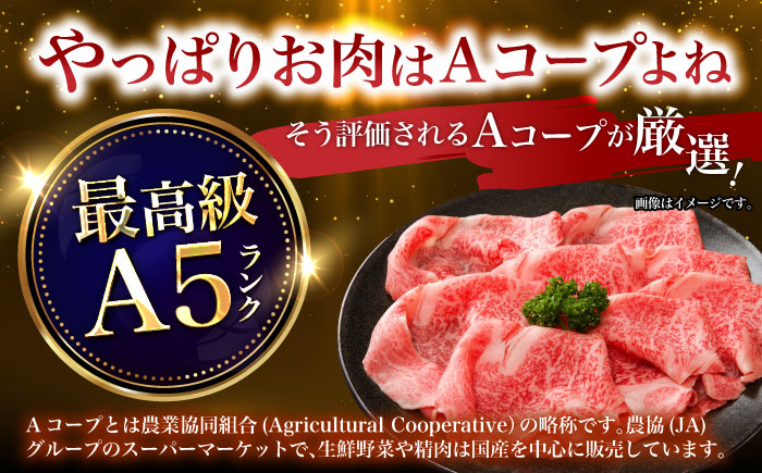 【6回定期便】長崎和牛ロースうす切り約550g　/　和牛　牛肉　牛　ロース　うす切り　/　諫早市　/　長崎県央農業協同組合Aコープ本部　 [AHAA022]