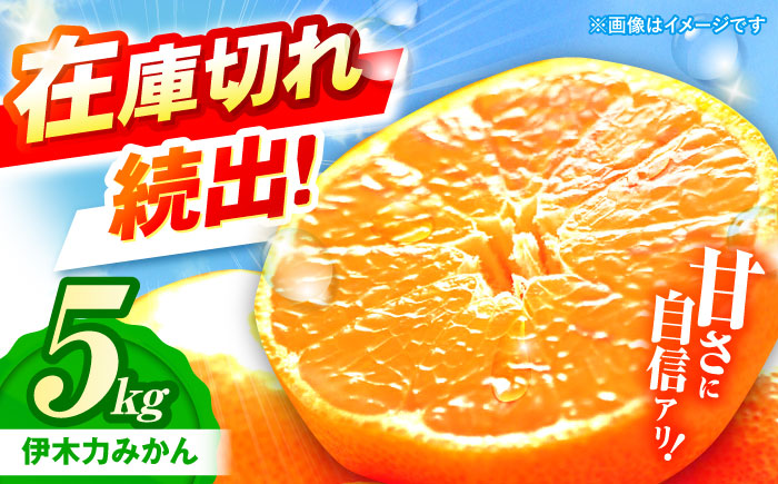 ※【2025年10月発送分／先行予約】伊木力みかん（家庭用）5kg / みかん ミカン 蜜柑 フルーツ 果物 / 諫早市 / 山野果樹園 [AHCF002]