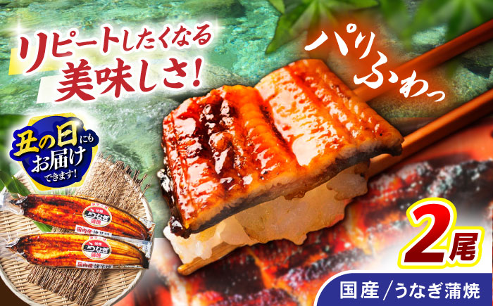 ＜諫早淡水＞うなぎ蒲焼 2尾 / うなぎ ウナギ 鰻 蒲焼き 蒲焼 かばやき ひつまぶし うな重 うな丼 冷凍 / 諫早市 / 諫早淡水株式会社 [AHAT004] 丑の日 土用丑の日