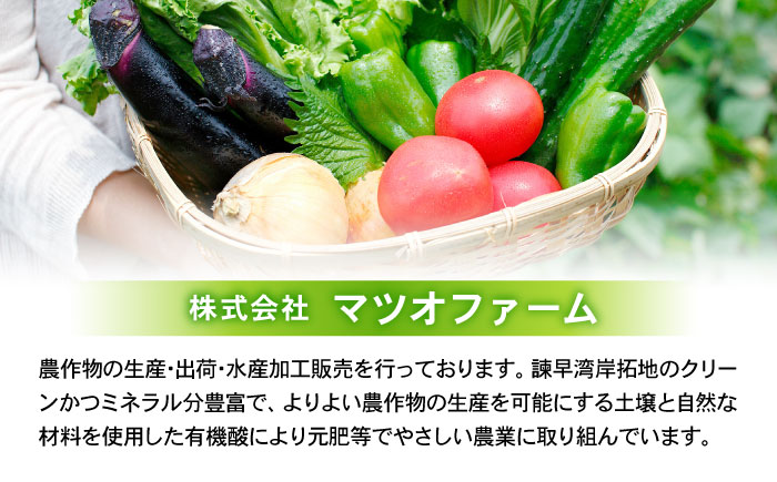 諫早産にんじん 10kg / にんじん ニンジン 人参 キャロット きゃろっと 野菜 やさい 10kg / 諫早市 / 松尾農園 [AHAY030]