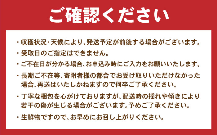 諫早産野菜の詰め合わせ(8〜9品目程度) / 季節 旬 野菜 春野菜 夏野菜 秋野菜  / 諫早市 / 肥前グローカル株式会社 [AHDI004]