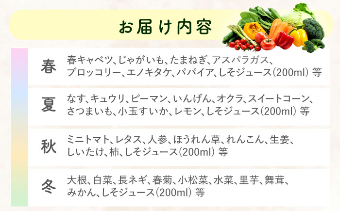 【12回定期便】野菜等詰め合わせセット(7〜10品目) / 野菜 果物 フルーツ くだもの きのこ しそ / 諫早市 / 松尾農園 [AHAY016]