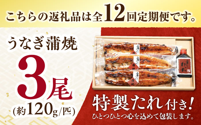 【12回定期便】北御門うなぎ蒲焼3尾入 / 特上 うなぎ 鰻 蒲焼 ウナギ / 諫早市 / 諫早観光物産　コンベンション協会 [AHAB025]