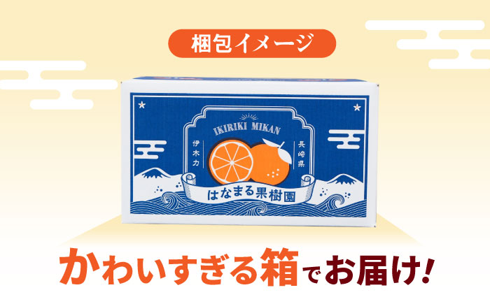 ※【2025年11月発送分／先行予約】伊木力みかん（大玉）10kg / みかん ミカン 蜜柑 フルーツ 果物 / 諫早市 / 山野果樹園 [AHCF005]