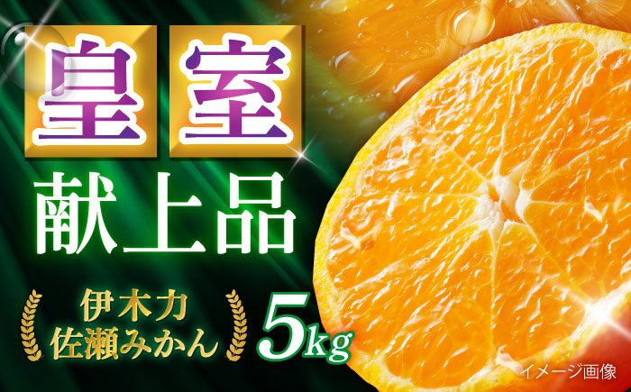 伊木力佐瀬みかん5kg(混合サイズ：S～L)　/　みかん　佐瀬みかん　伊木力みかん　産地直送　産直　/　諫早市　/　山田果樹園 [AHAJ004]