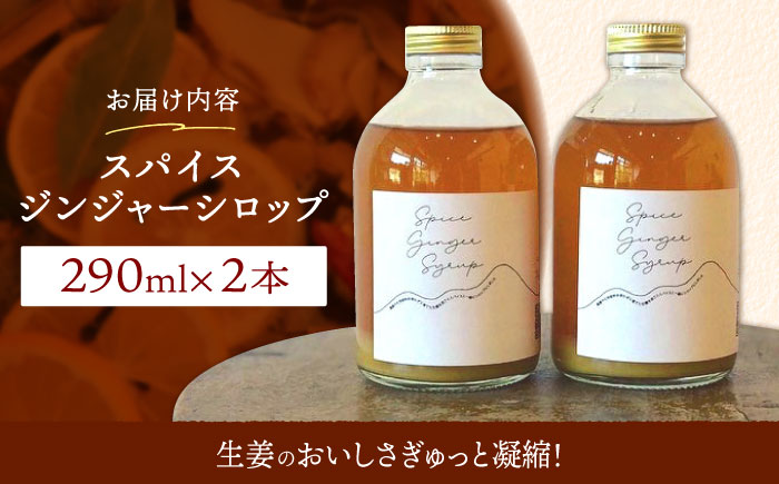 【11月中旬以降発送】スパイスジンジャーシロップ(290ml×2本) / ジンジャー シロップ 自家製 生姜 自然 暮らし / 諫早市 / のんびり山　 [AHBA003]